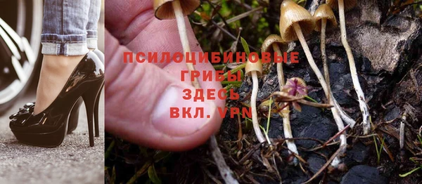 гидропоника Иннополис
