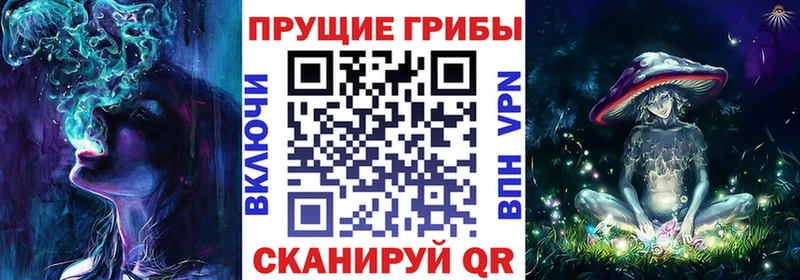 купить  сайты  мега онион  Галлюциногенные грибы Cubensis  Тутаев 
